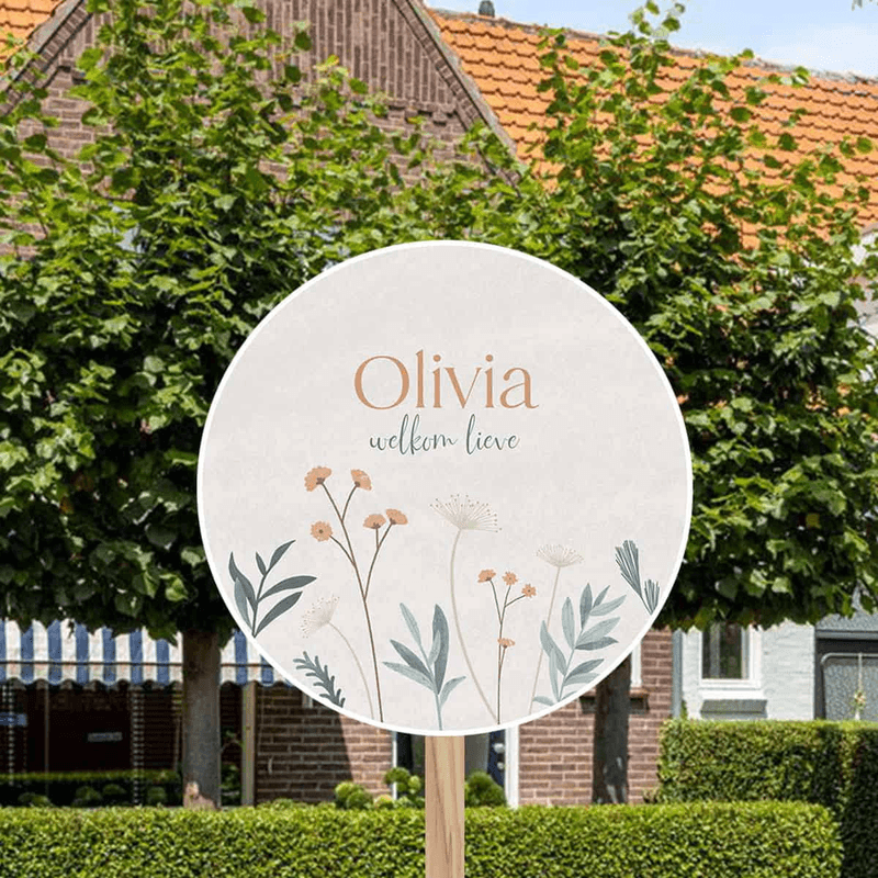 Geboorteplein project